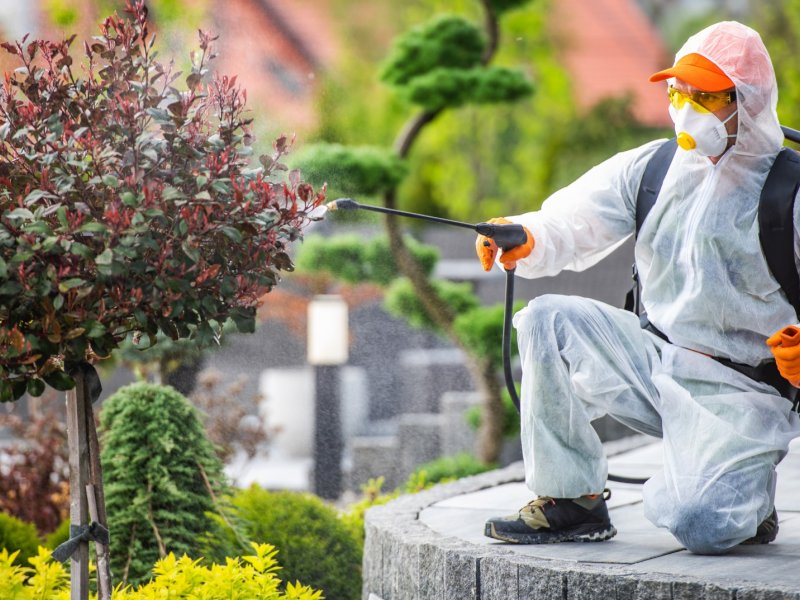 Kozan Haşere İlaçlama