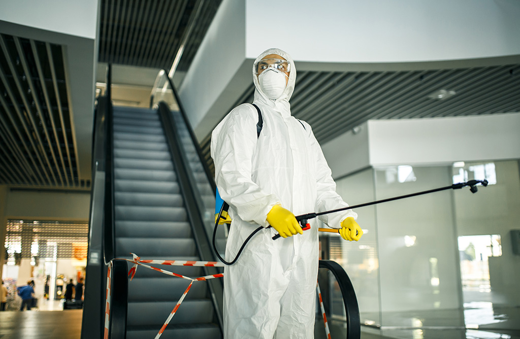 Kozan Haşere İlaçlama